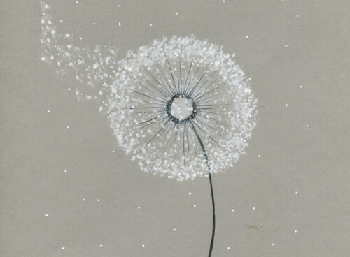 12 Dandelion in the snow