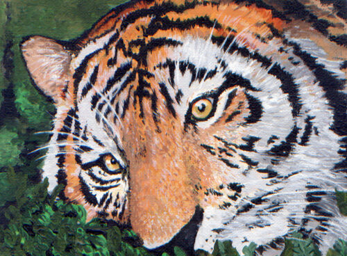 155 Tiger