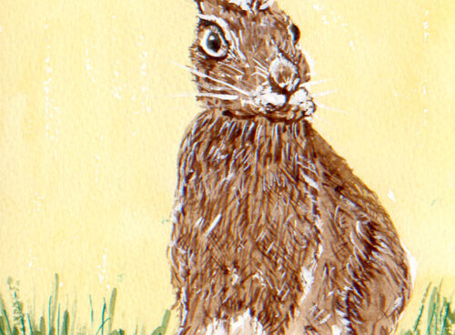 162 Hare