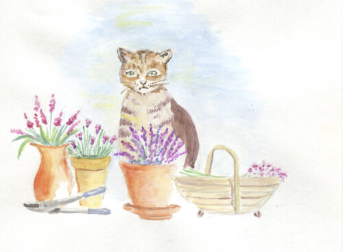282 Cat with flowerpots 1
